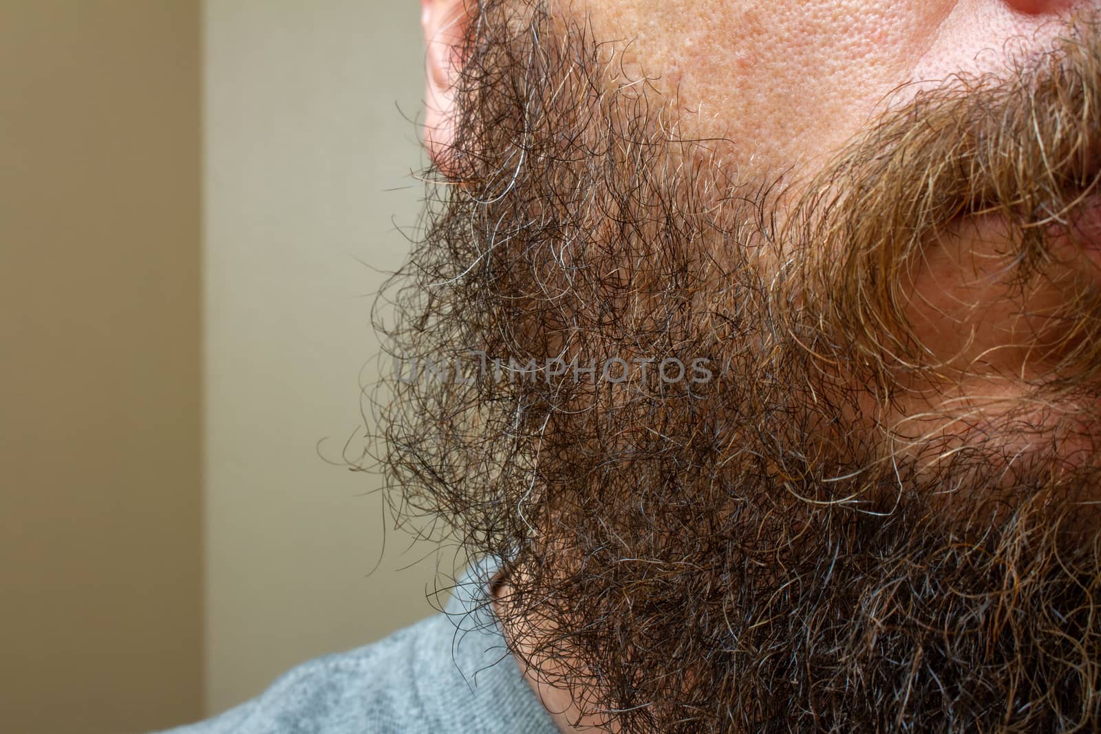 close up of a scruffy mans beard