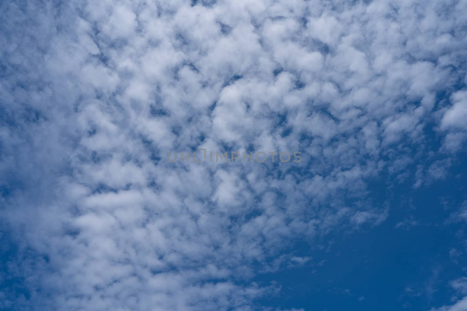 The Blue sky with cloud. Beautiful natural of sky abstract or background.