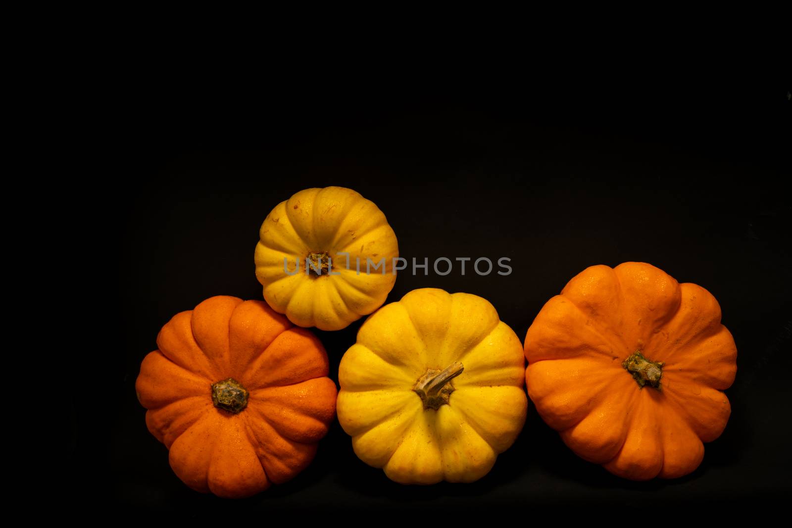 Colorful pumpkins on wood table with dark background and space for text by peerapixs