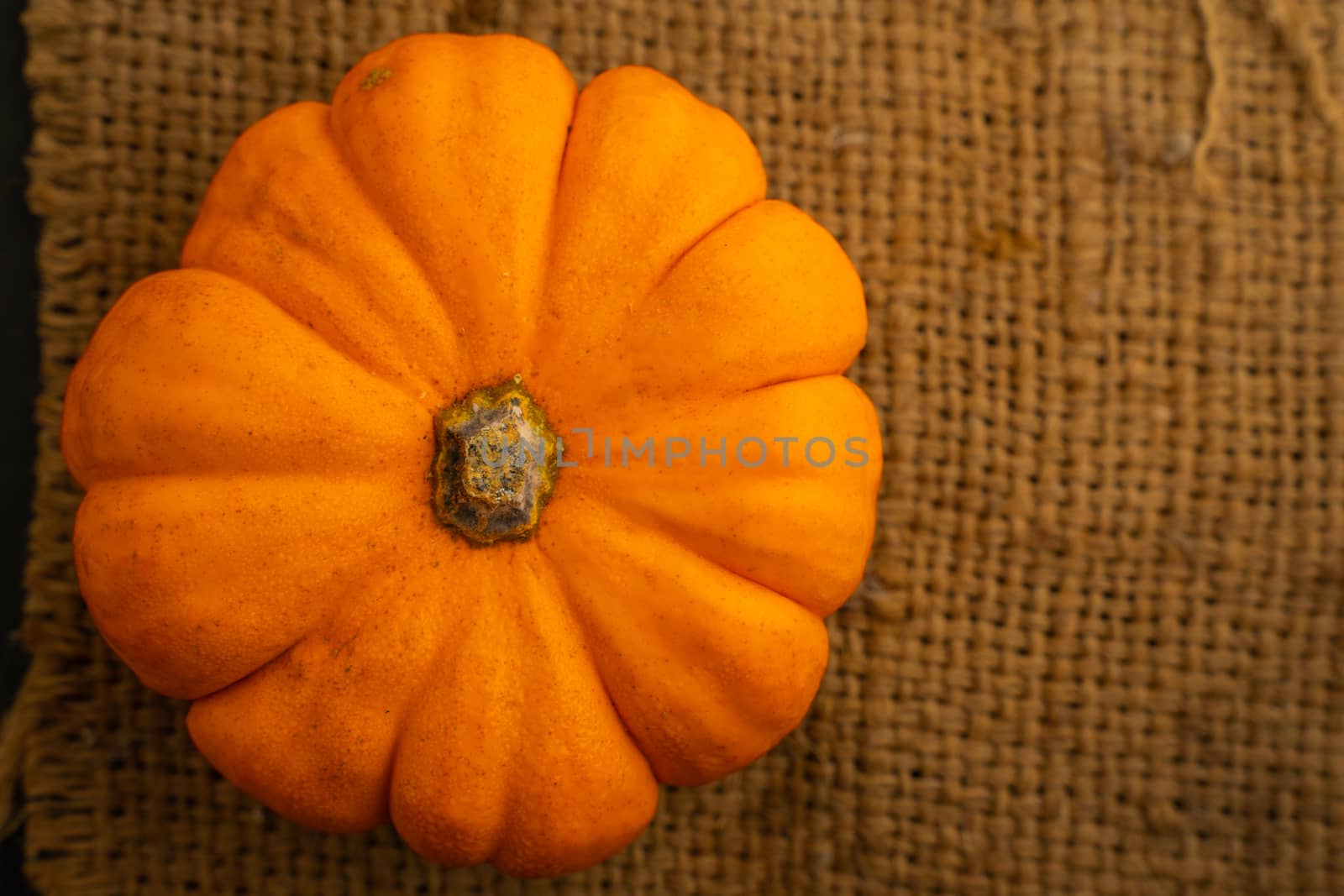 Fresh Orange pumpkin on sack with space for put the text by peerapixs