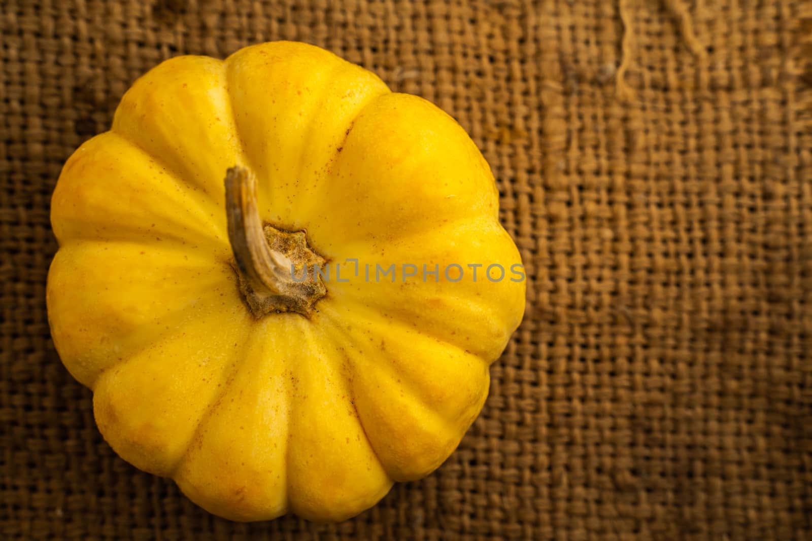 Yellow Fresh pumpkin on sack with space for put the text by peerapixs