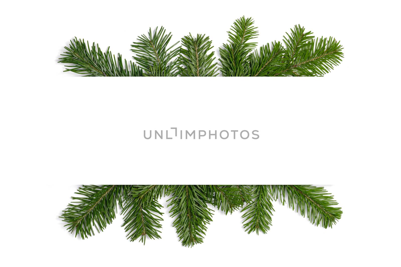 Natural fir Christmas tree border frame isolated on white , copy space for text