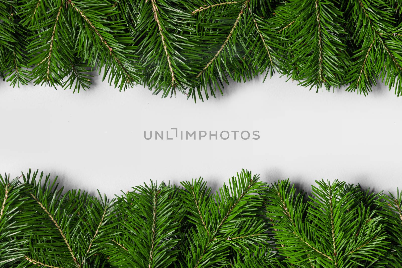 Natural fir Christmas tree border frame isolated on white , copy space for text