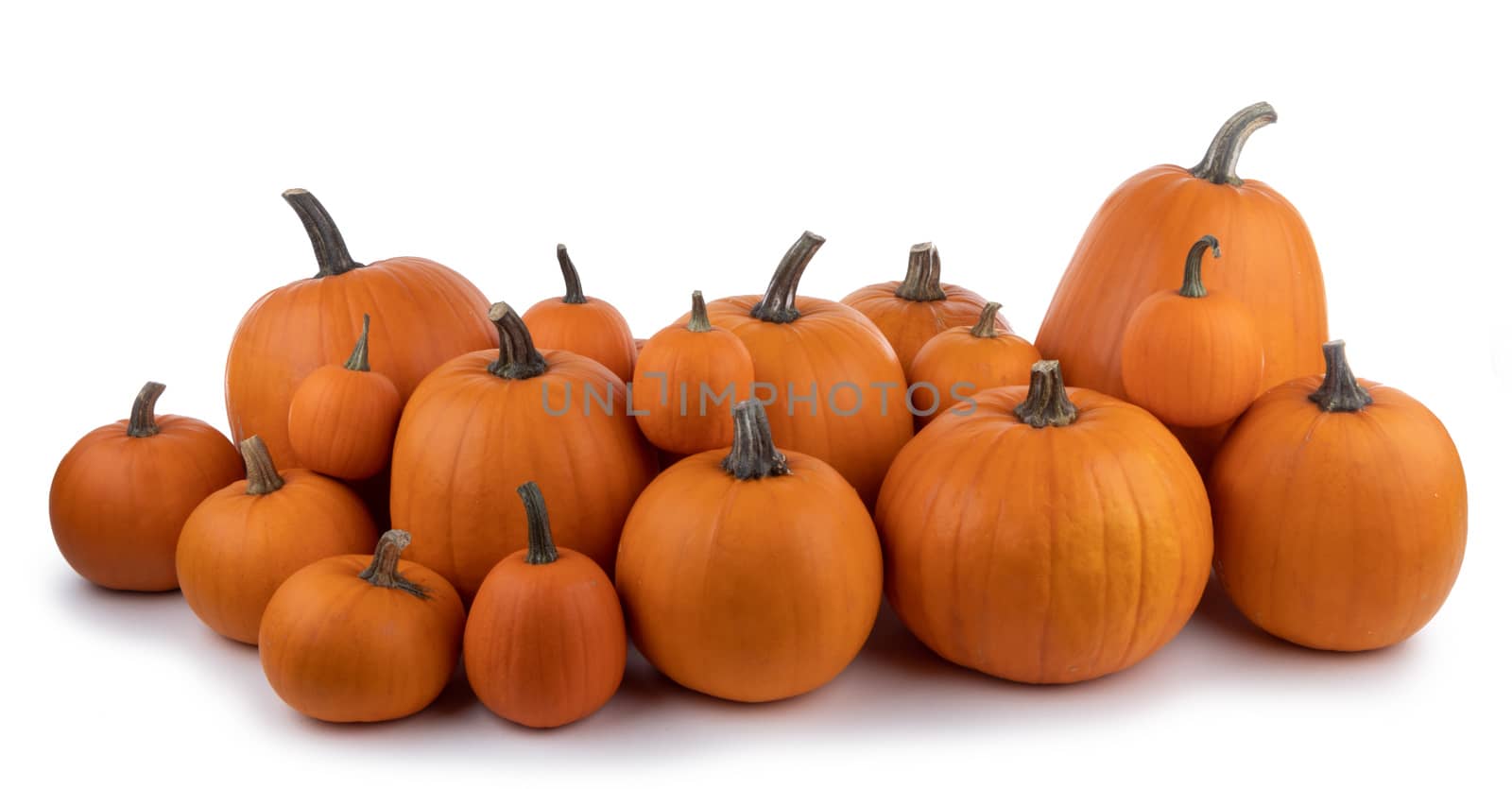 Heap of many orange pumpkins isolated on white background , Halloween concept