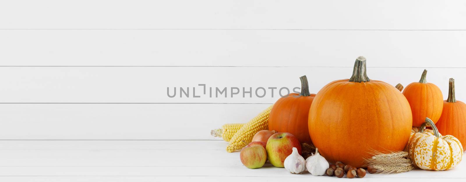 Autumn harvest still life with pumpkins, wheat ears, corn, garlic, onion and apples on wooden background