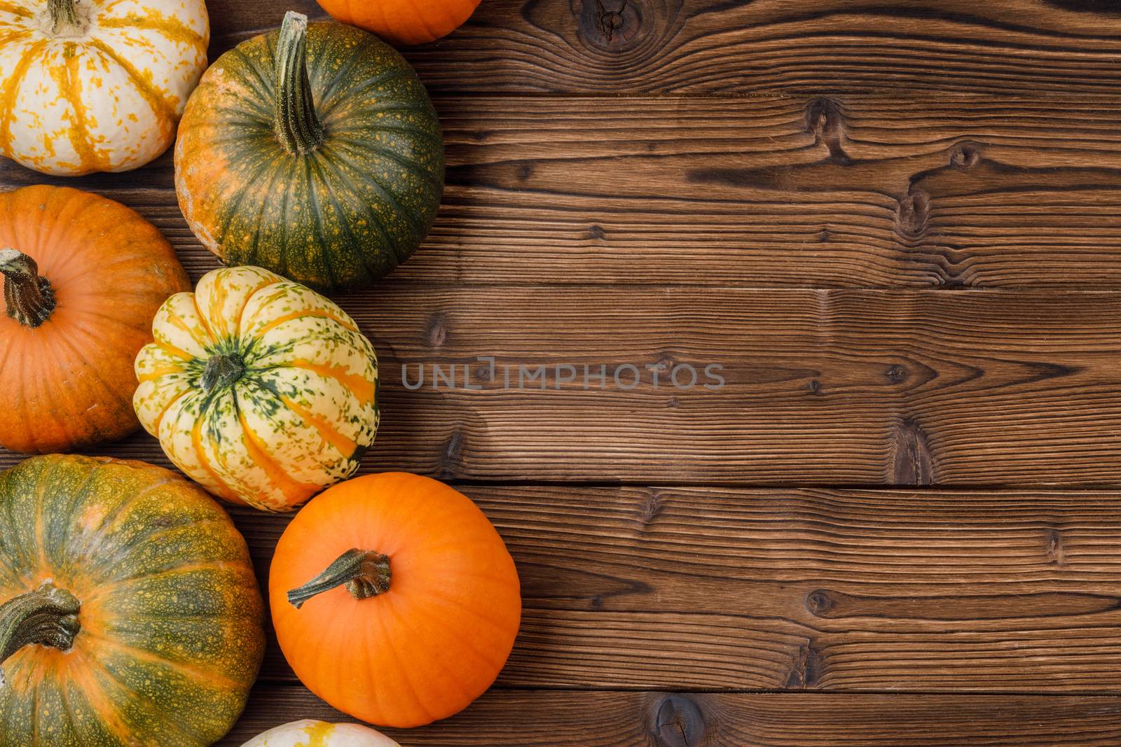 Many orange pumpkins on dark wooden background, Halloween concept, top view with copy space