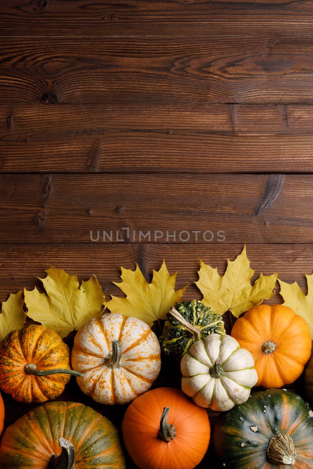 Pumpkins and autumn leaves by Yellowj