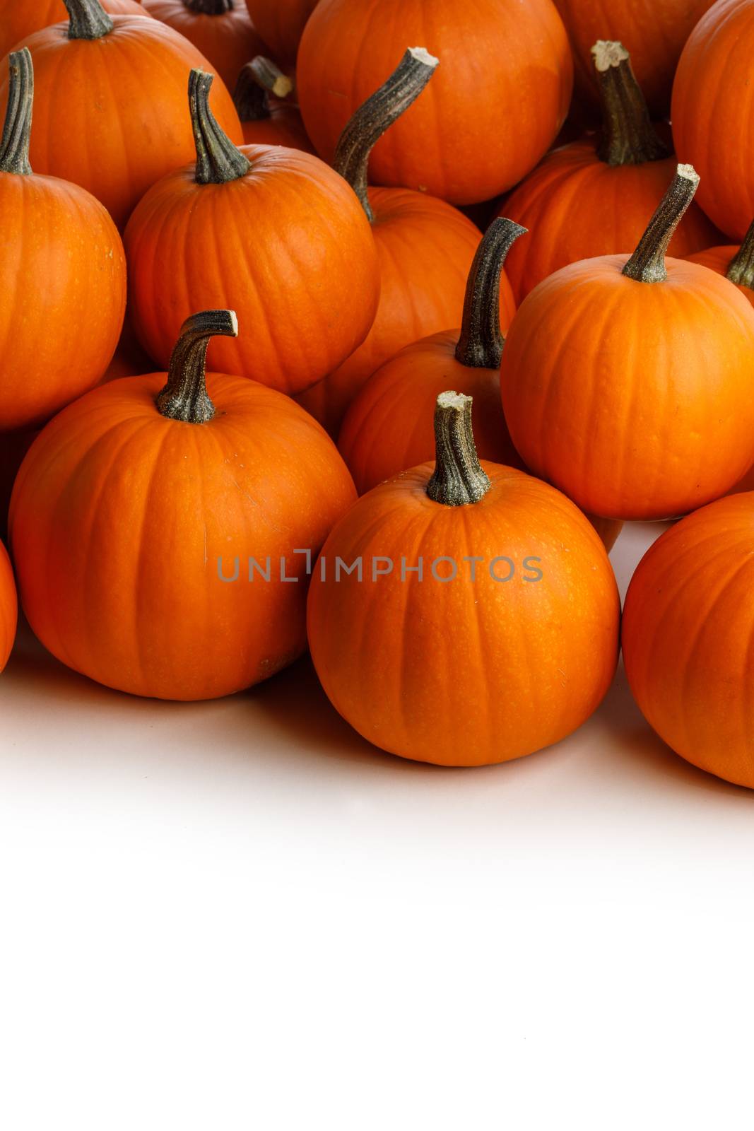 Many orange pumpkins isolated on white background corner composition, Halloween holiday concept