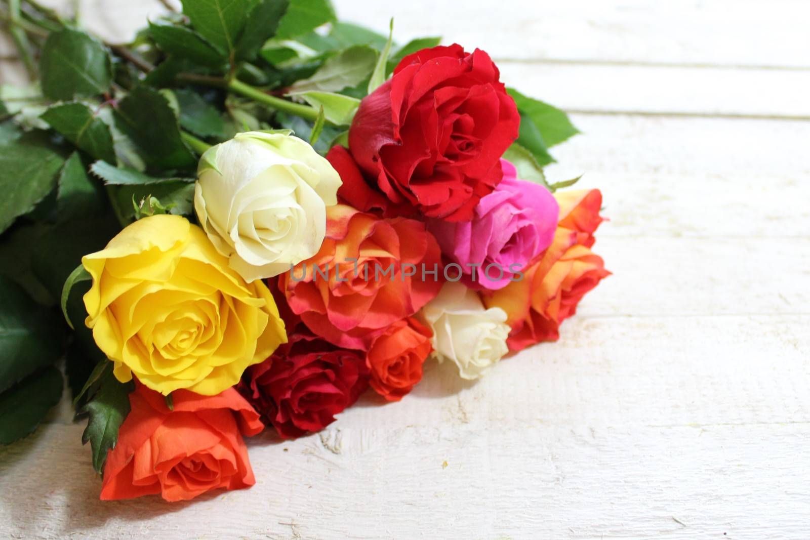 The pictureshows colorful roses on white wood.