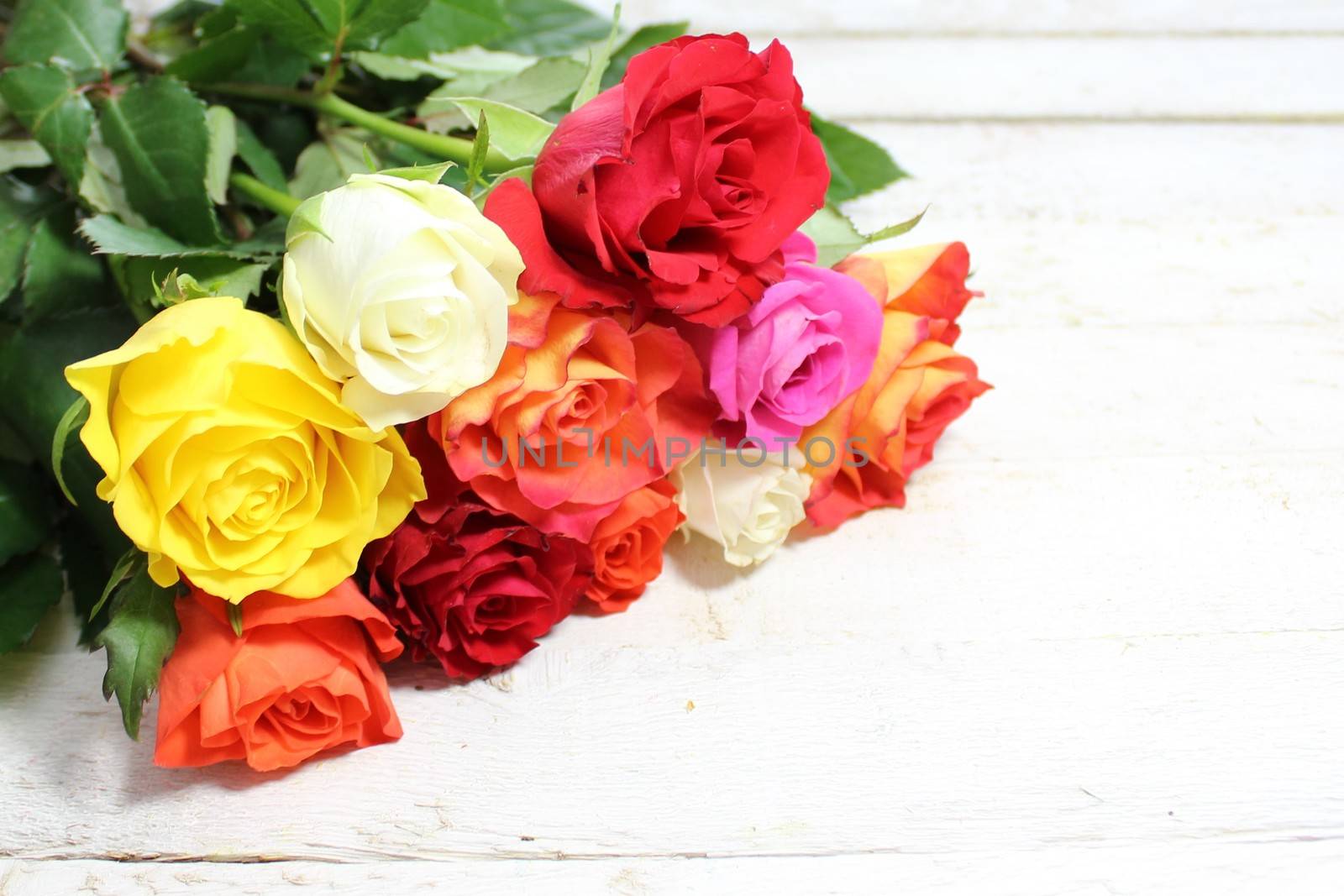 The picture shows colorful roses on white wood.