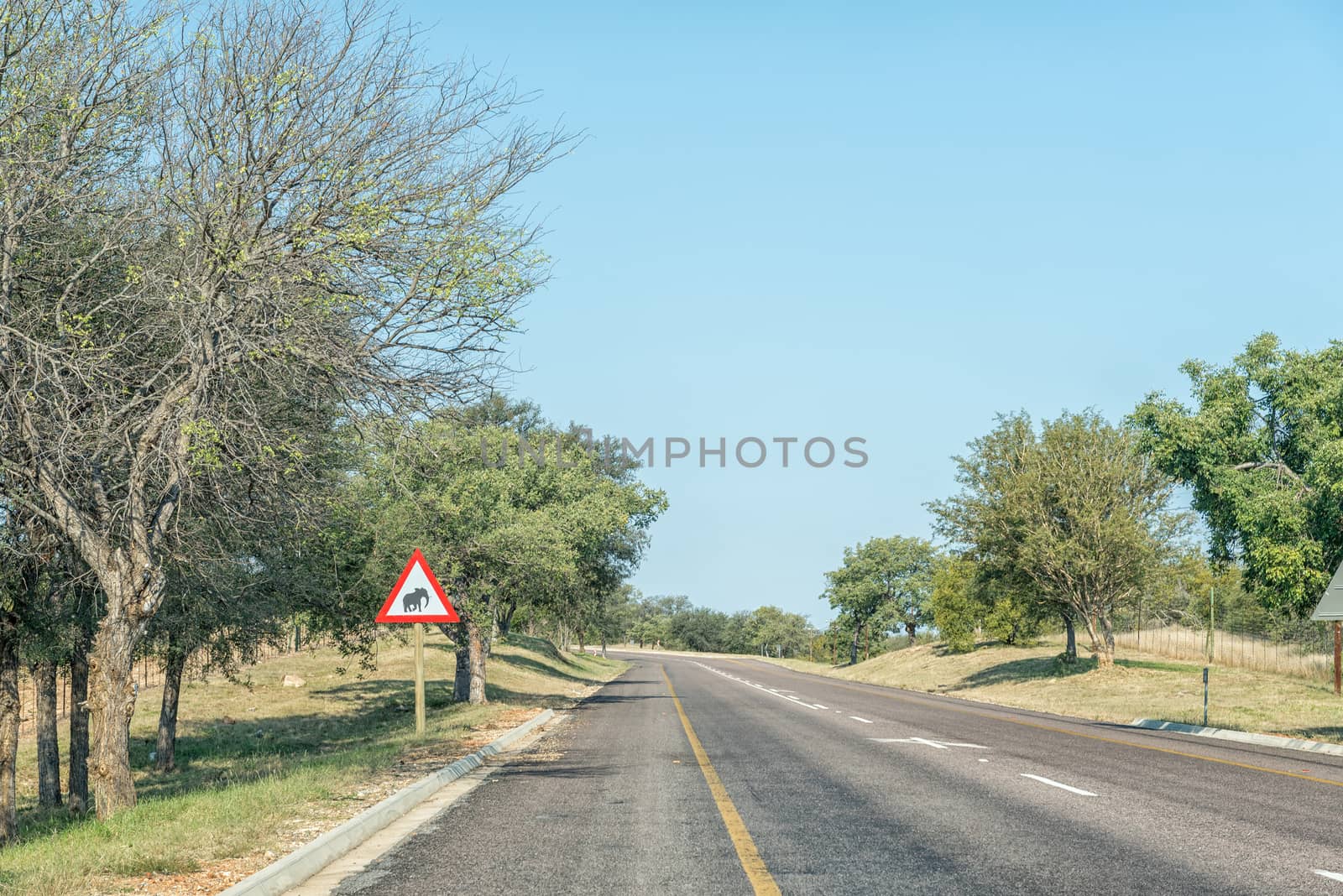 A road landscape on road R40 near Phalaborwa. An elephant warning sign is visible