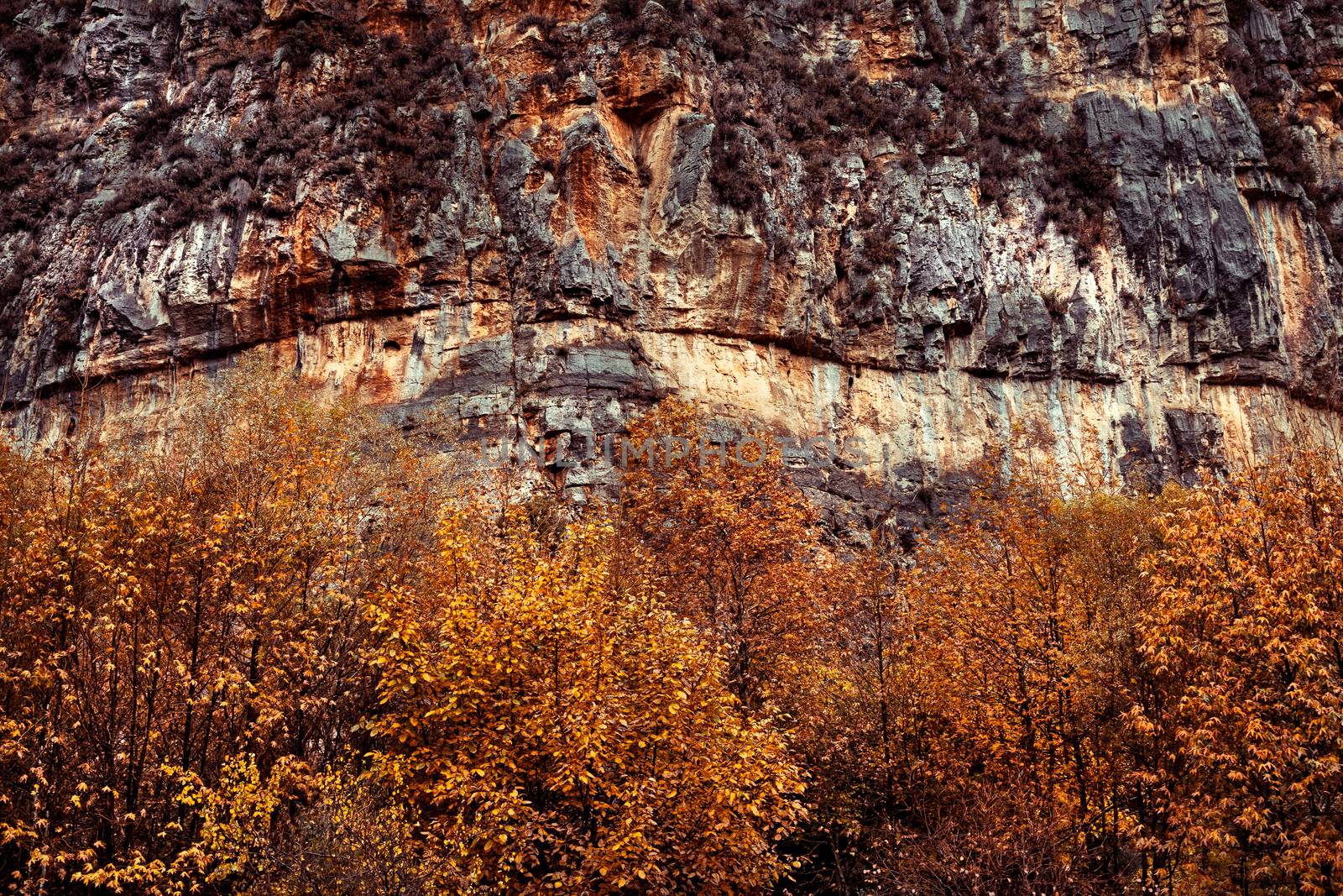 Autumn nature background by Anna_Omelchenko