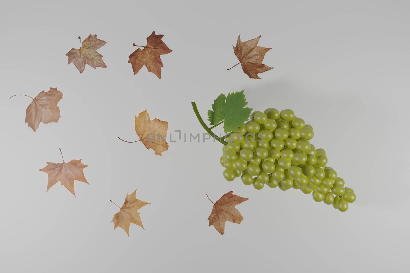 autumn scene with bunch of white grapes and dry leaves