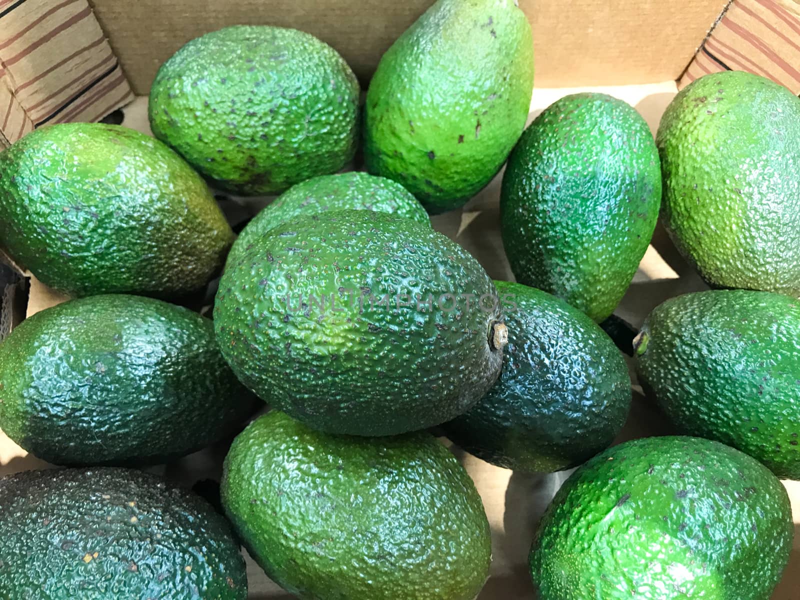 Close-Up Of Fresh Green Avocado by nenovbrothers