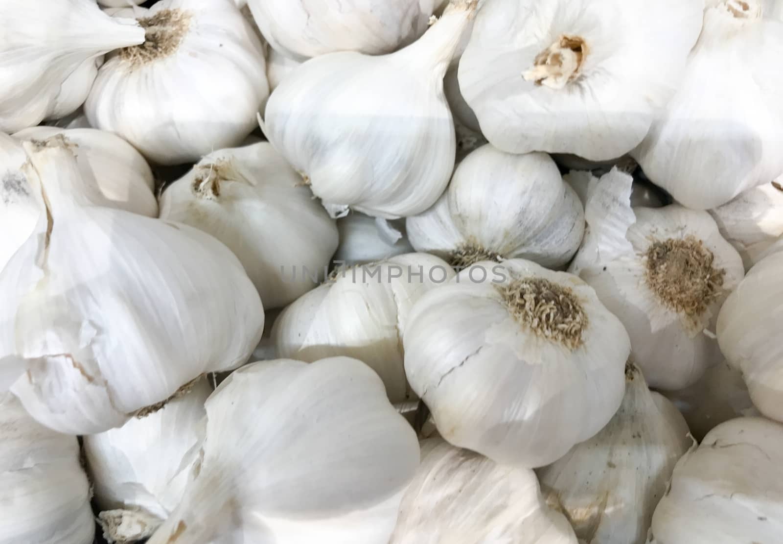 Garlic Is A Species In The Onion Genus, Allium. Its Close Relatives Include The Onion, Shallot, Leek, Chive, And Chinese Onion. by nenovbrothers