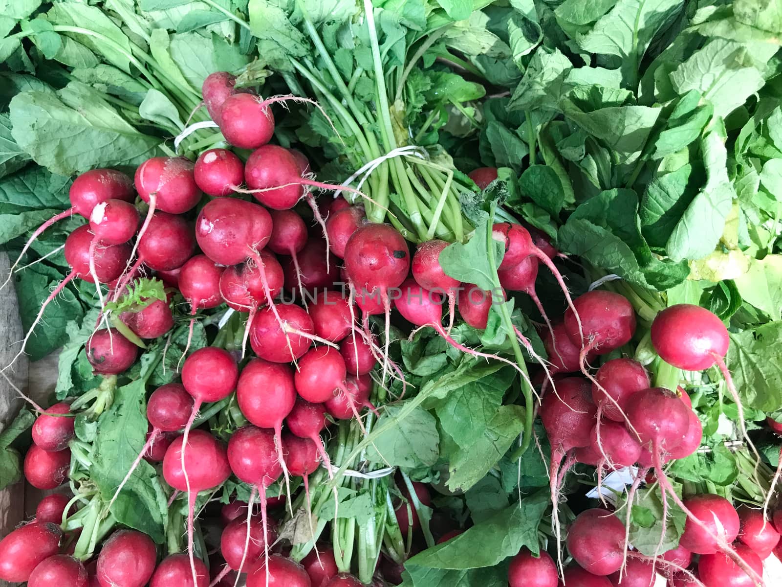 Fresh Red Radishes Exposed For Sale In Supermarket by nenovbrothers