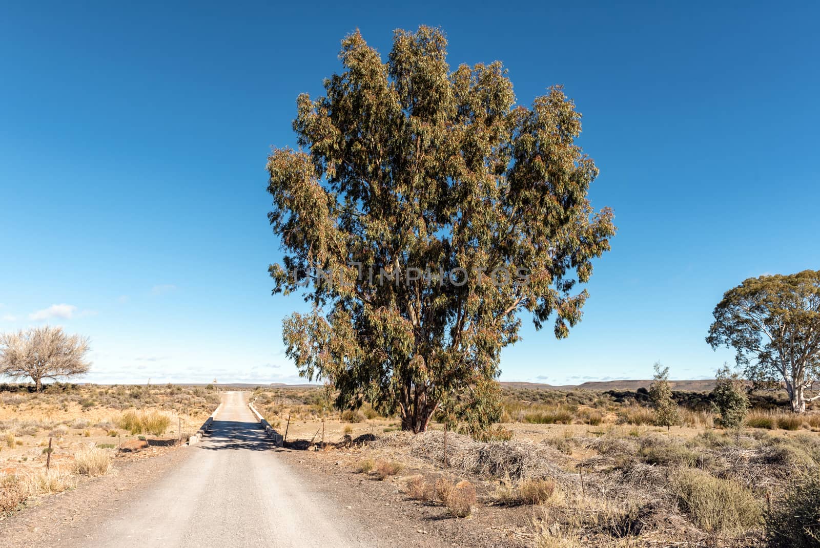 Farm landscape and a single lane road bridge over the Sak River on road R356 near Fraserburg in the Northern Cape Province