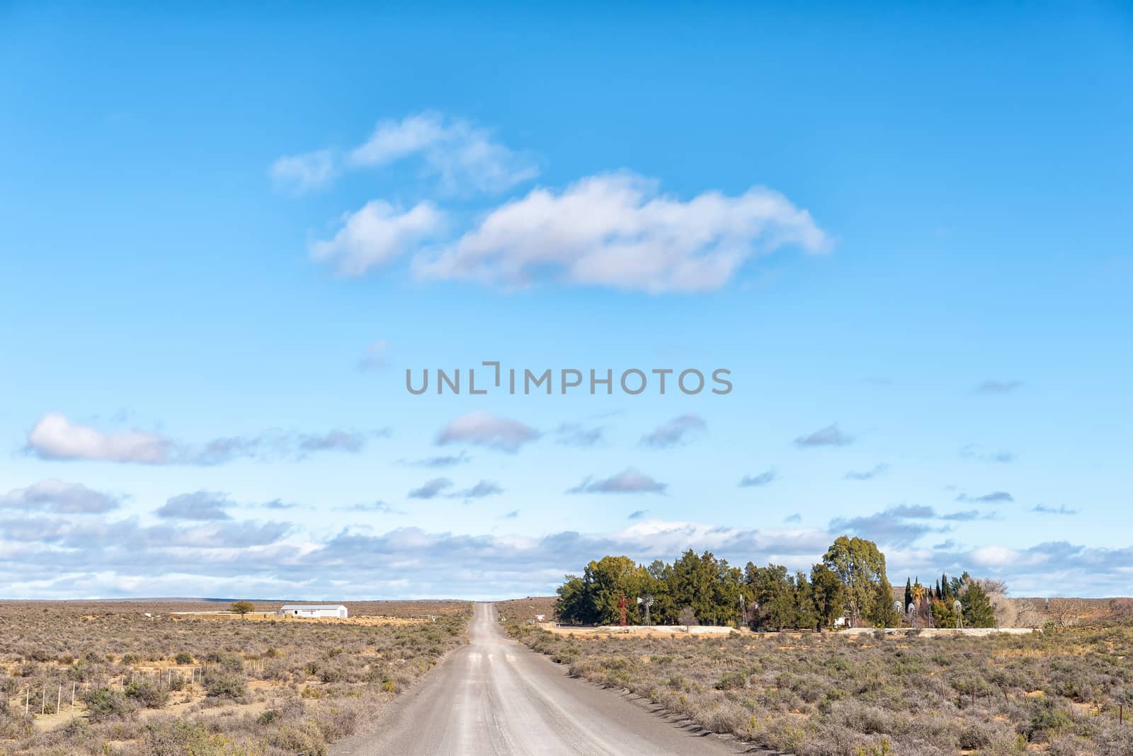 Farm landscape on road R356 between Loxton and Fraserburg in the Northern Cape Province. 11 water-pumping windmills are visible