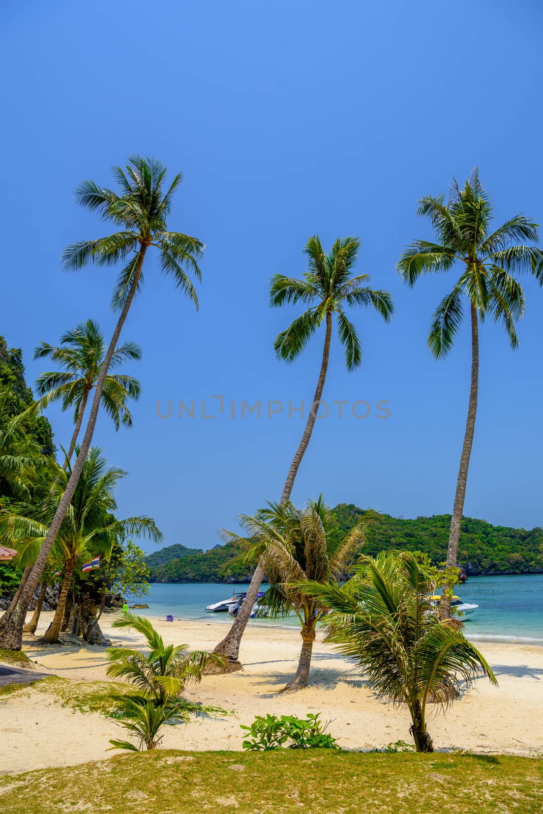 Koh Phaluai, Mu Ko Ang Thong National Park, Gulf of Thailand, Siam, Palms and tropical beach