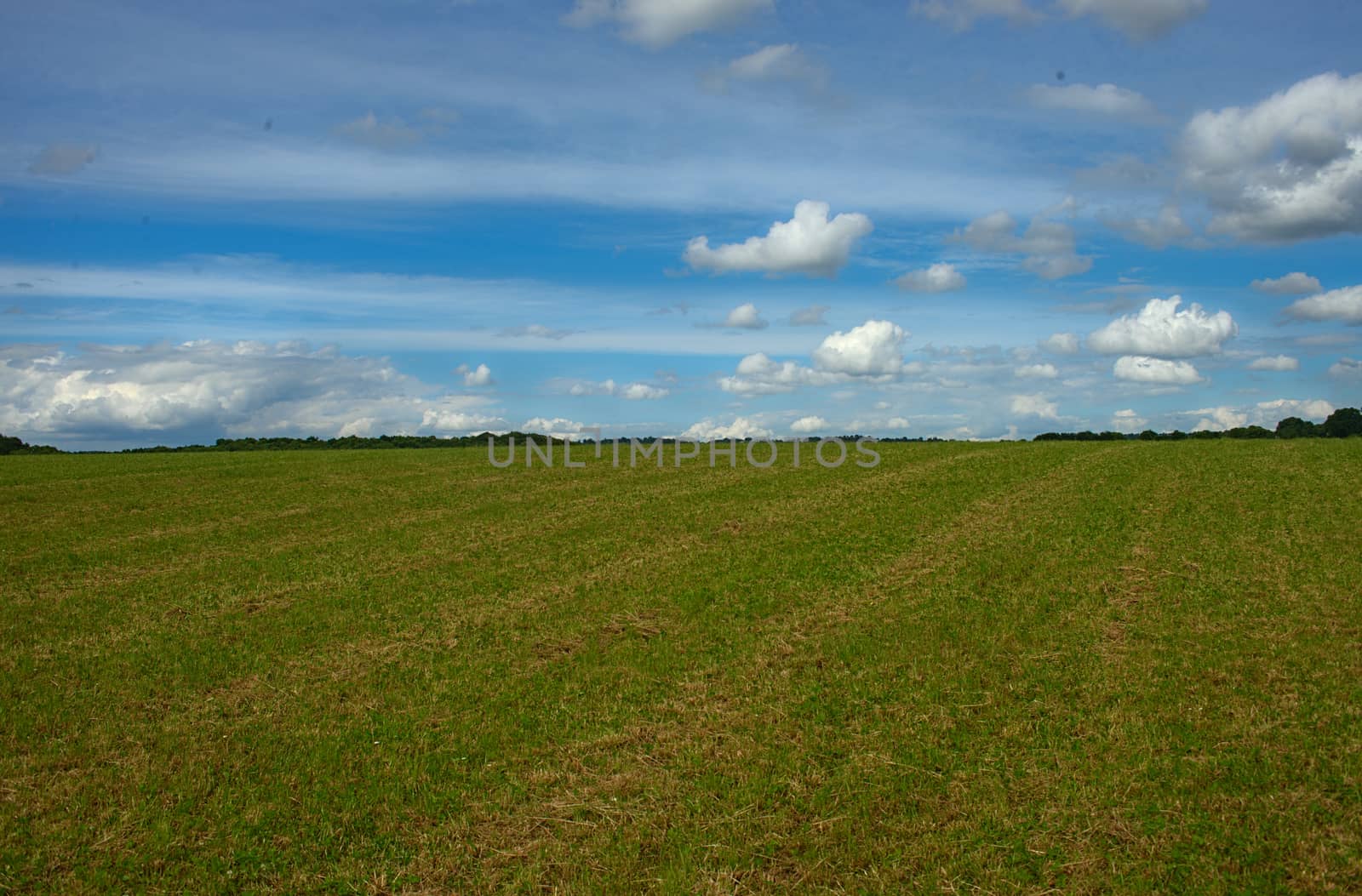 Green grass field and blue cloudy sky