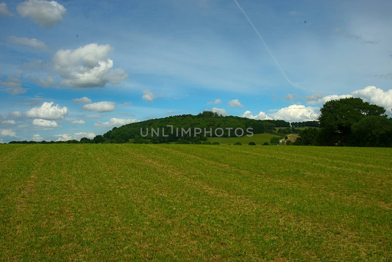 Green grass field blue sky and small hill by sheriffkule