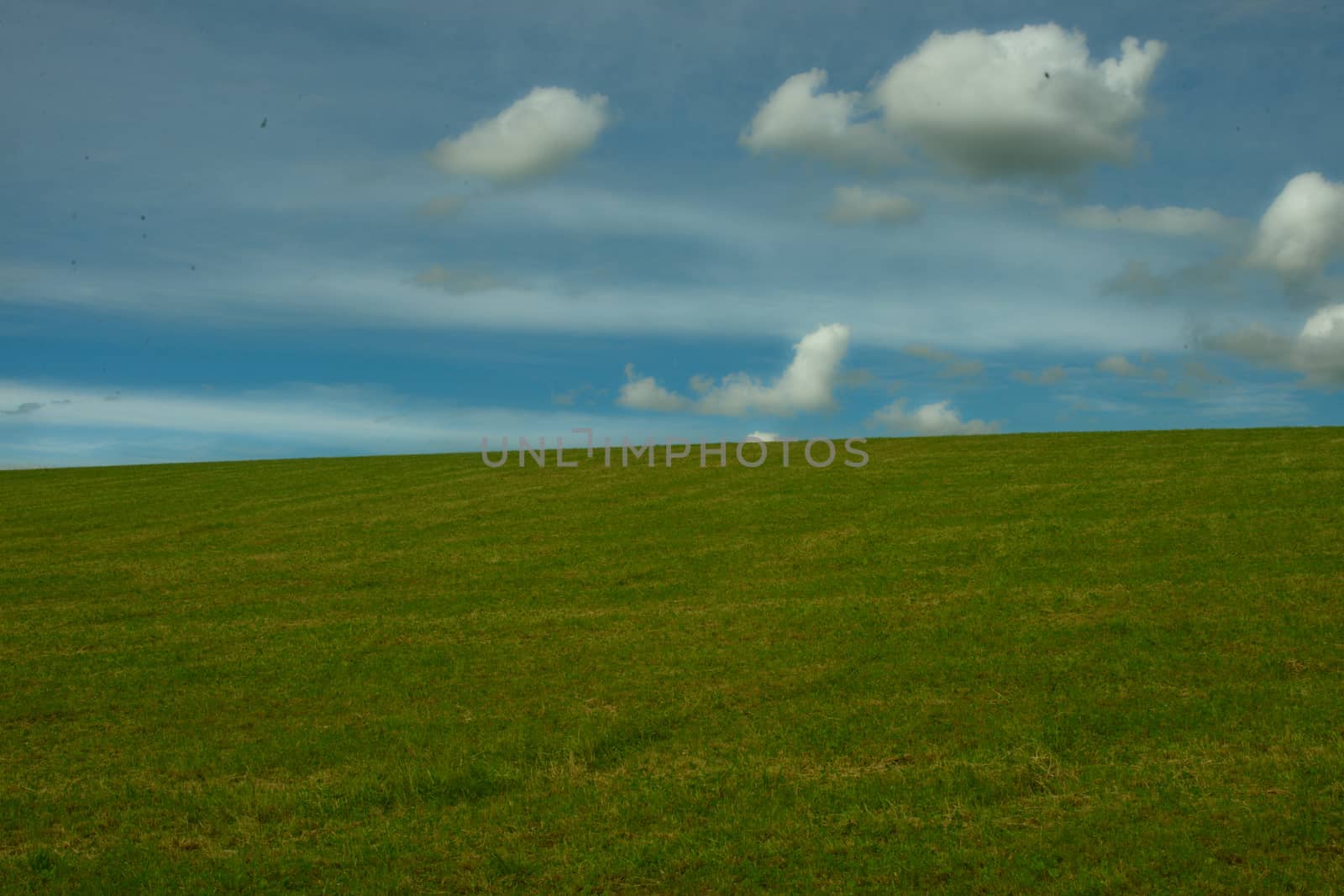 Green grass field and blue cloudy sky by sheriffkule