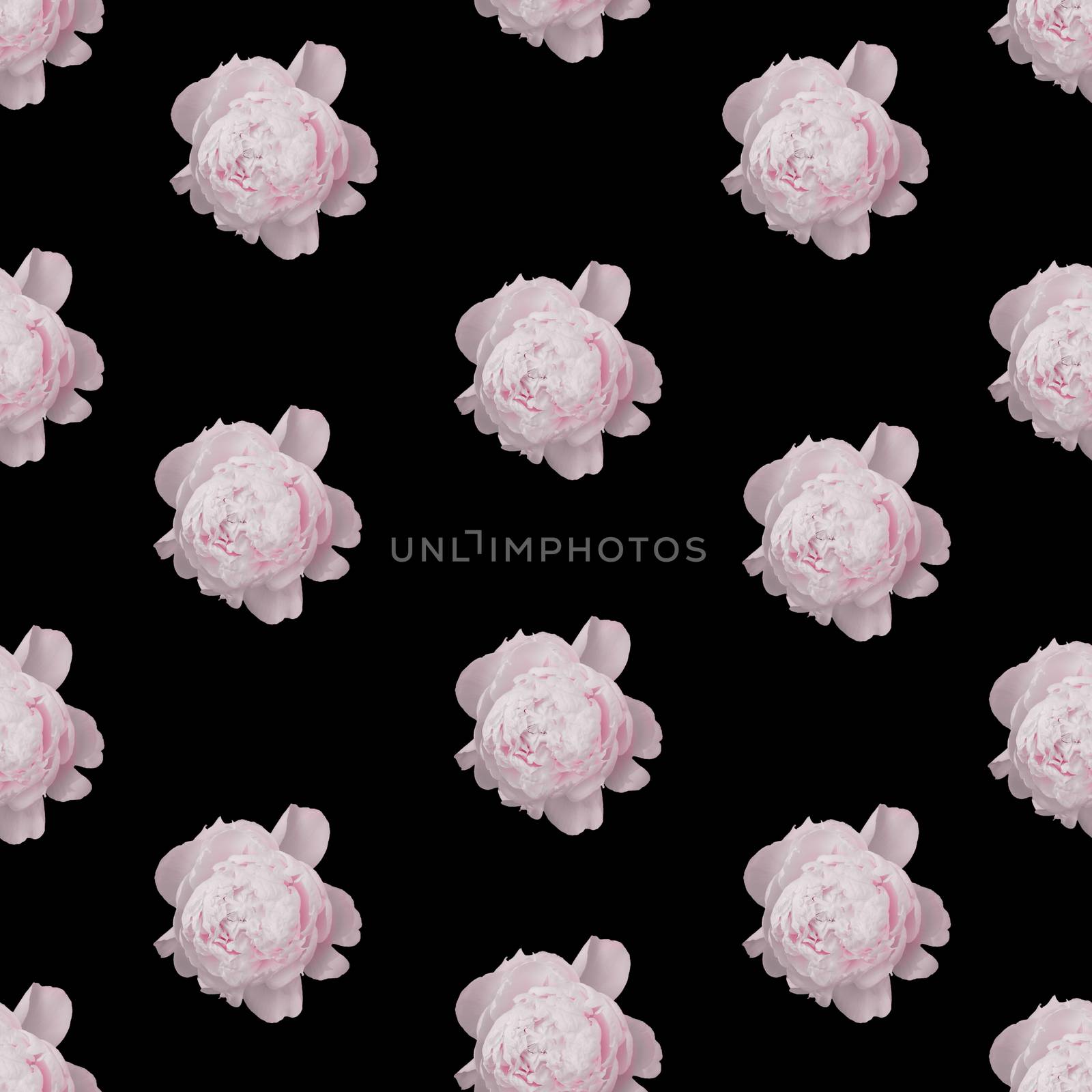 Floral seamless pattern with pink peony roses. by GraffiTimi