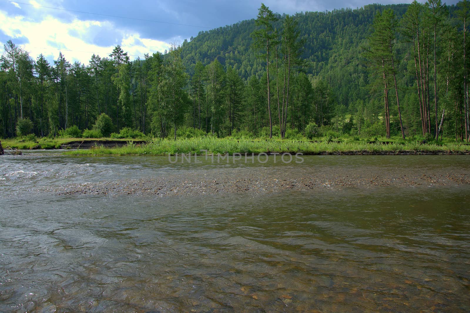 A fragment of a river flowing at the foot of high mountains overgrown with coniferous forest. Altai, Siberia, Russia.