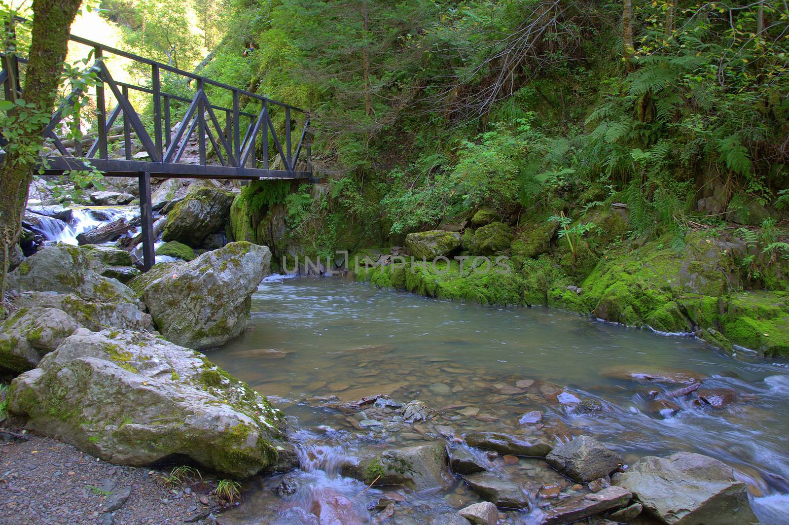 Pedestrian bridge over a stormy mountain river flowing through the forest. by alexey_zheltukhin