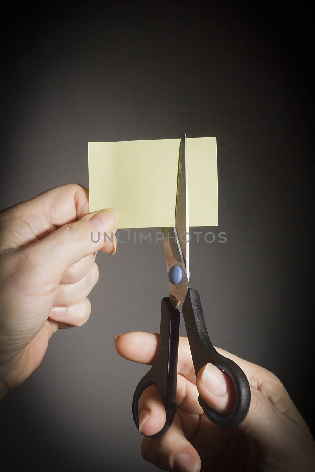 Hands with scissors and a sheet of paper by VIPDesignUSA