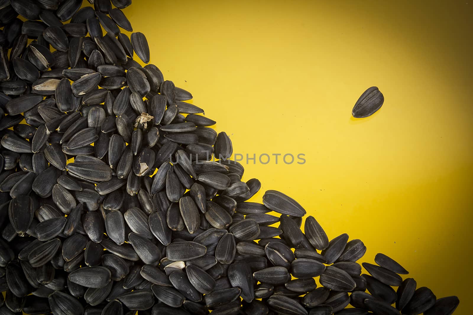 A lot of sunflower seeds on a yellow background
