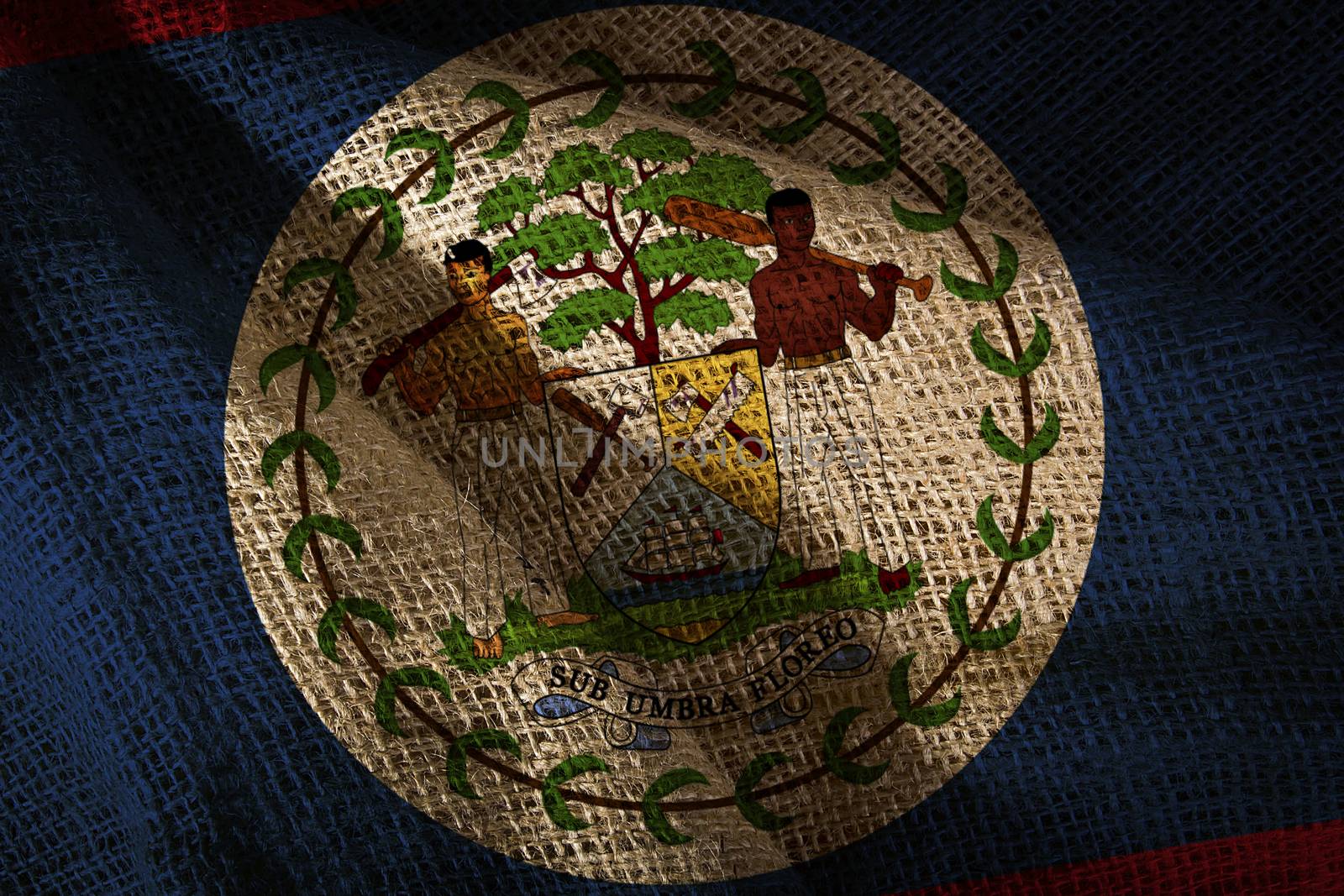 State flag of Belize by VIPDesignUSA