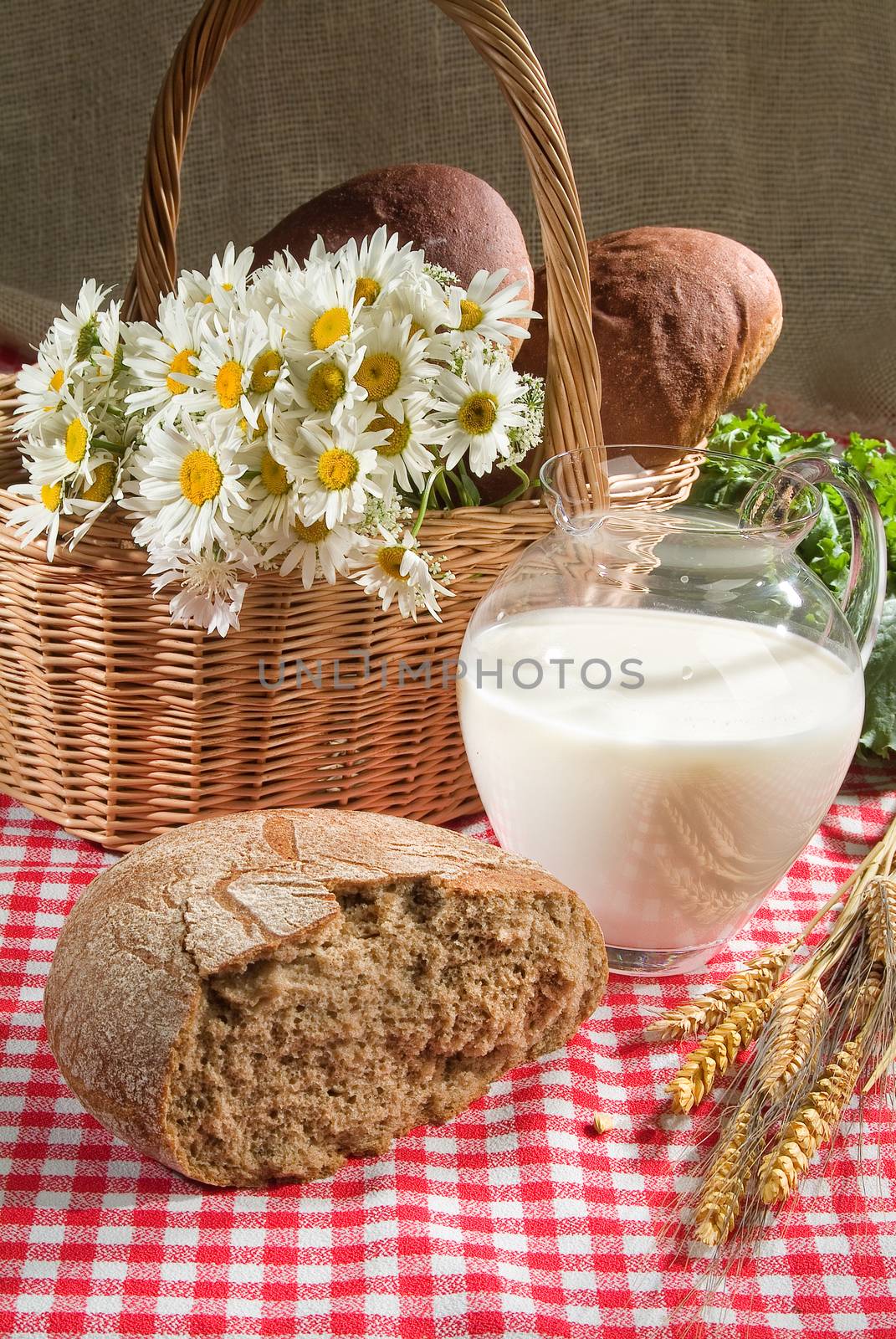 Different kinds of bread on a studio background
