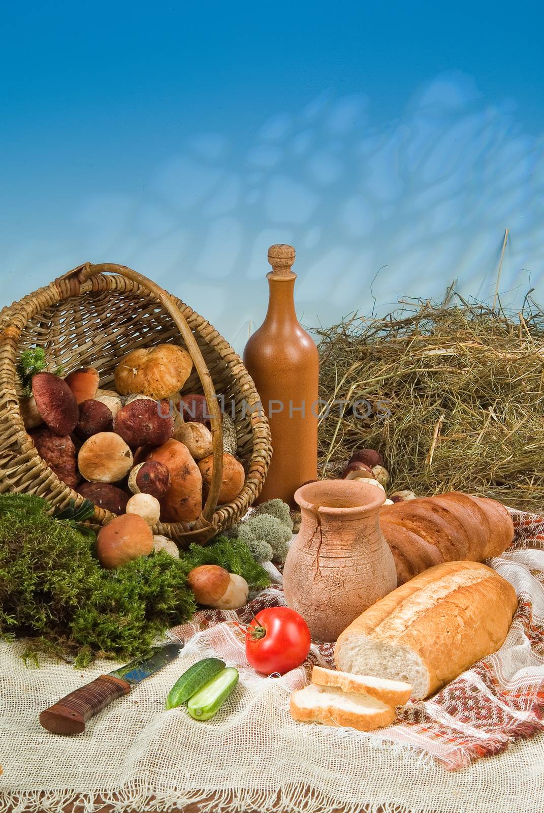 Different kinds of bread on a studio background