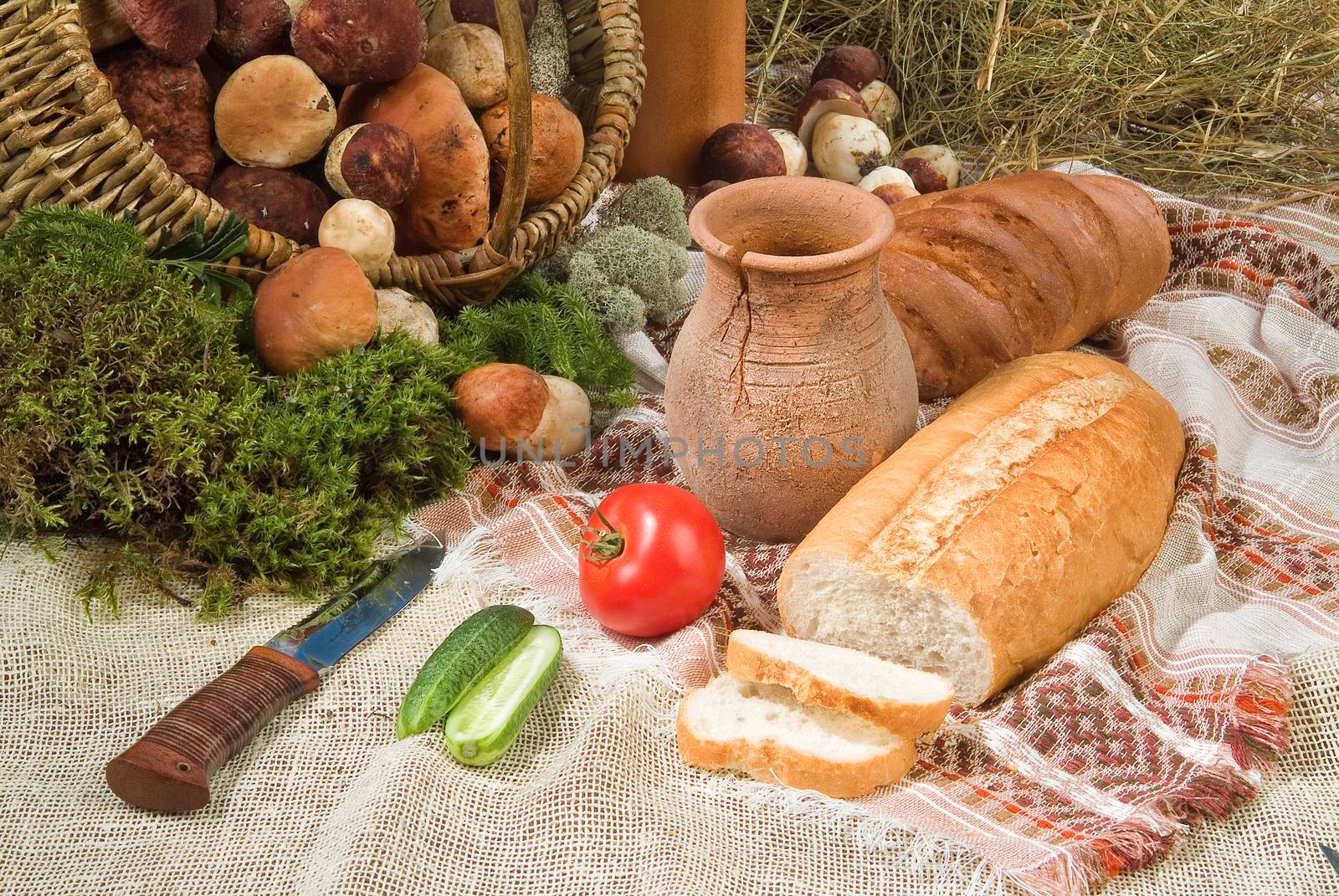 Different kinds of bread on a studio background