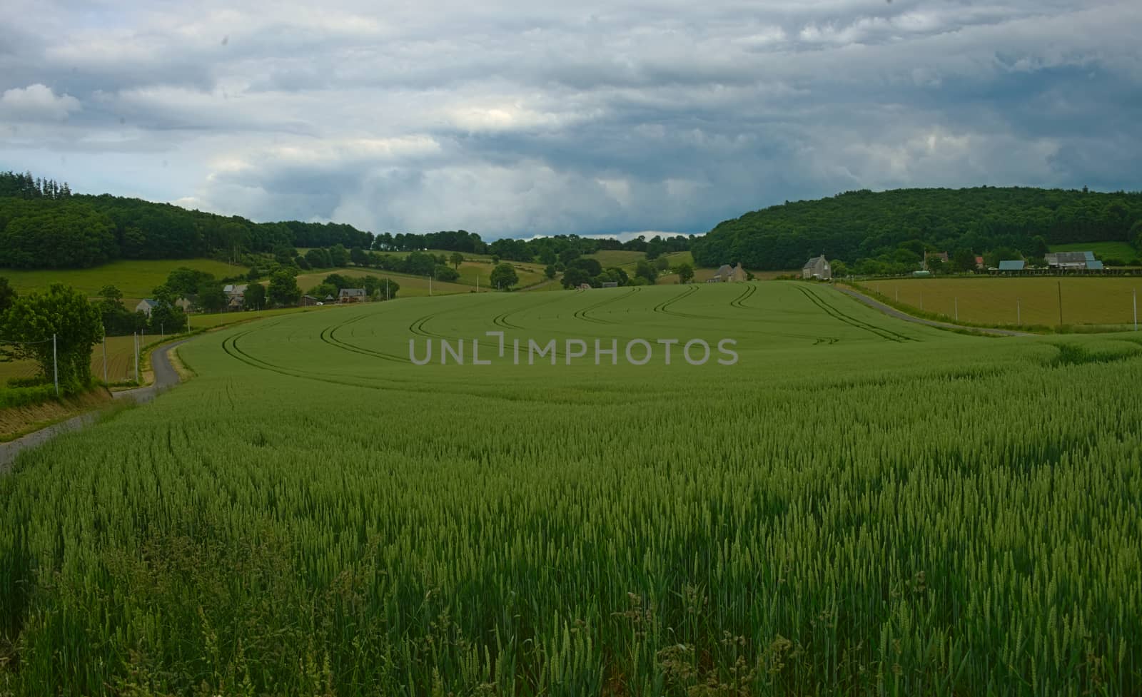 Wheat field and cloudy sky at peaceful rural Normandy by sheriffkule