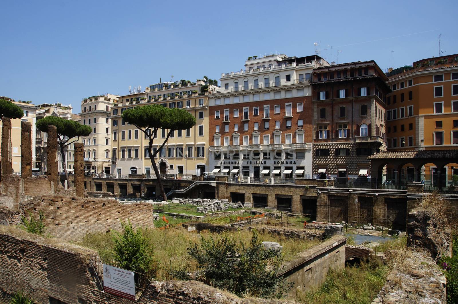 Photo of Archaeological site close to where Julius Caesar was killed. Placed among modern apartment buildings at Largo di Torre Argentina street, Rome, Italy