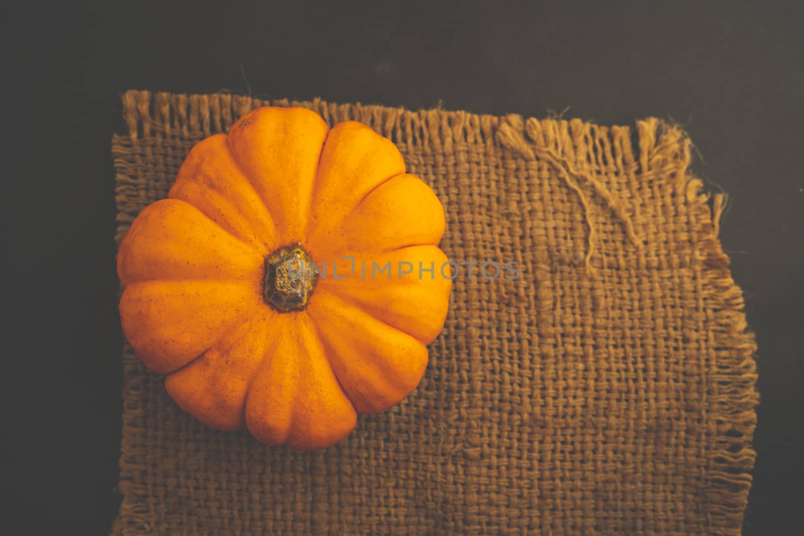 The top view Fresh Orange pumpkin on sack with space for put the text