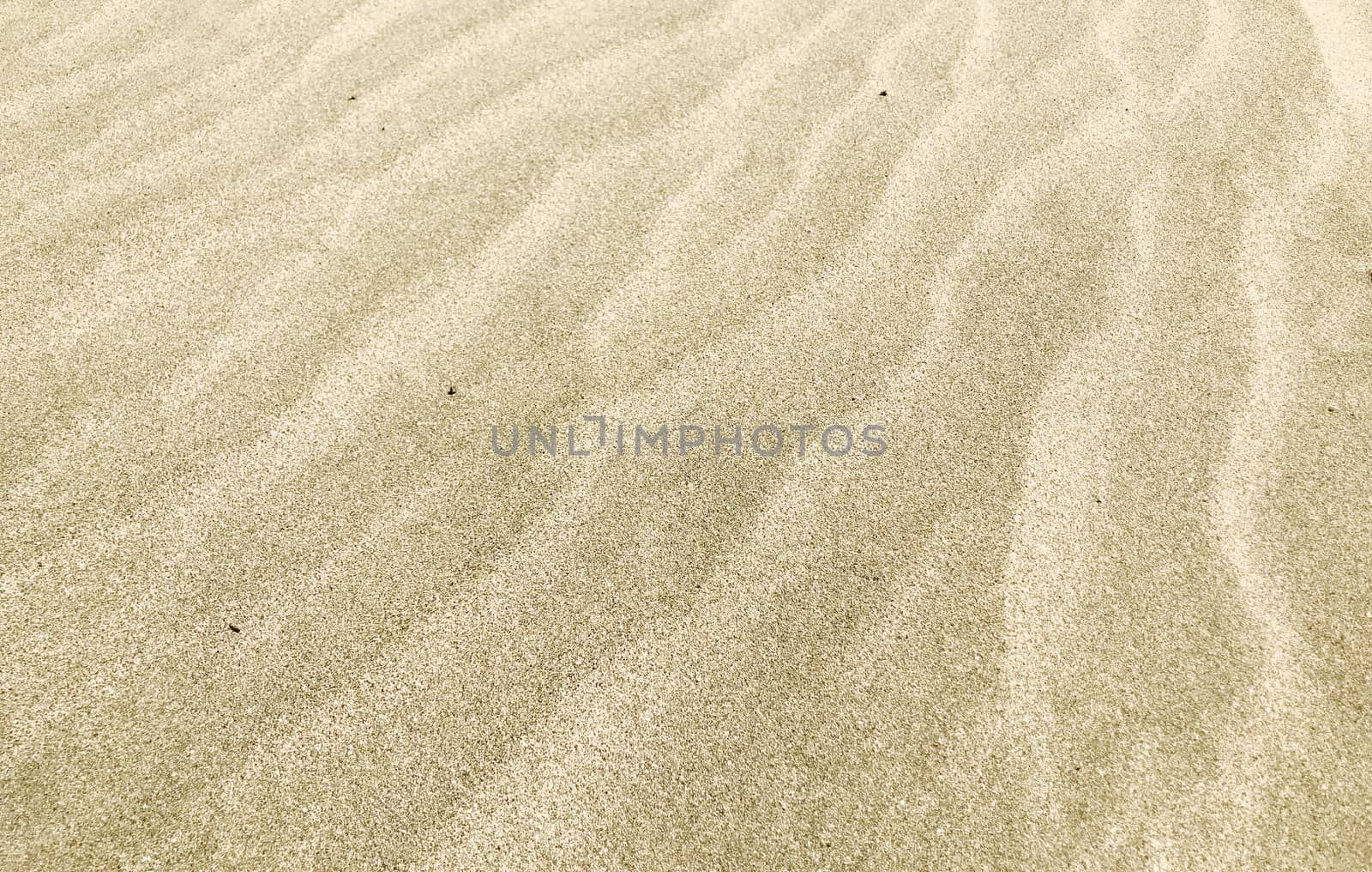 Close-Up Of Sand Background Texture by nenovbrothers