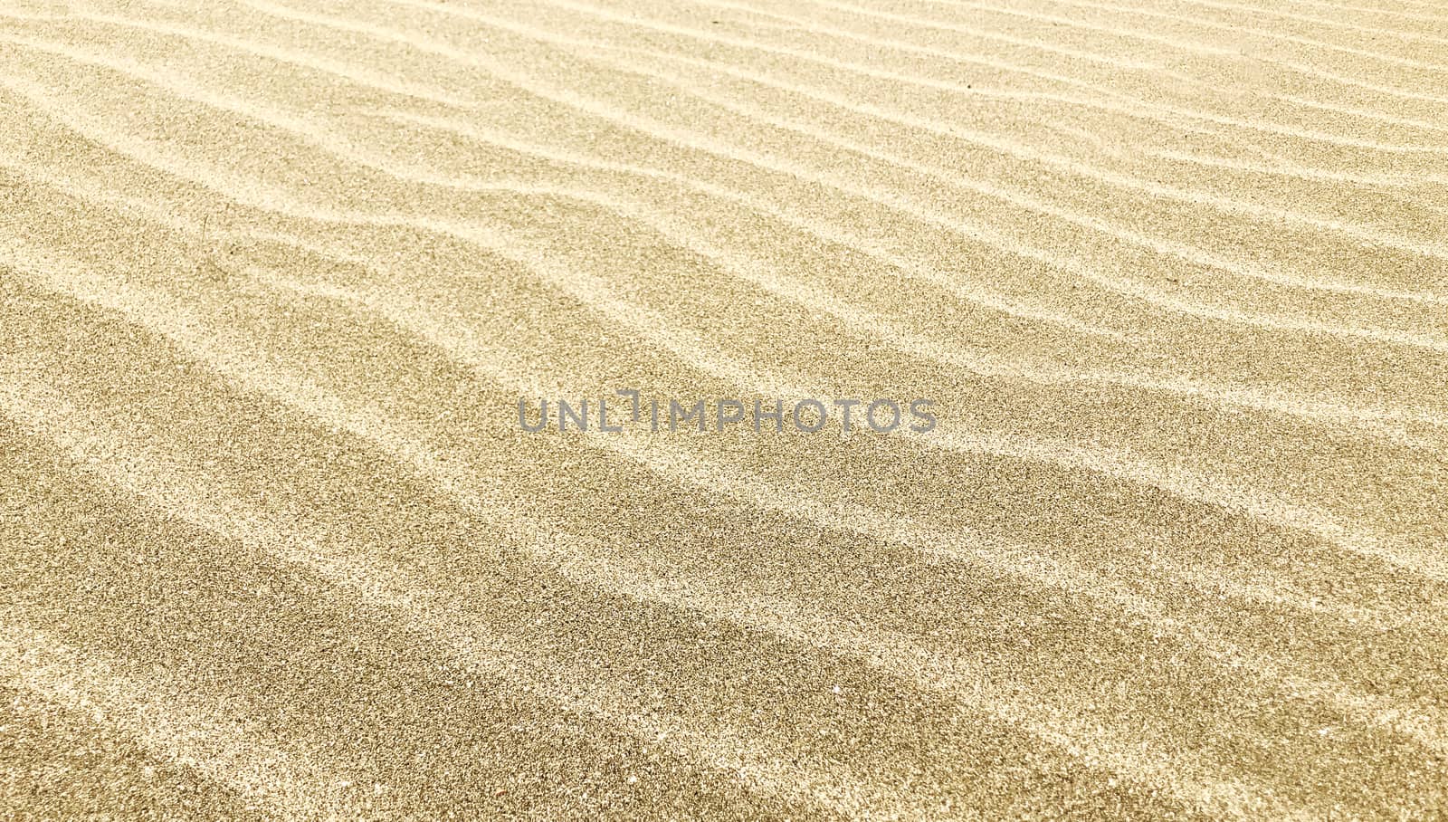 Close-Up Of Sand Background Texture by nenovbrothers