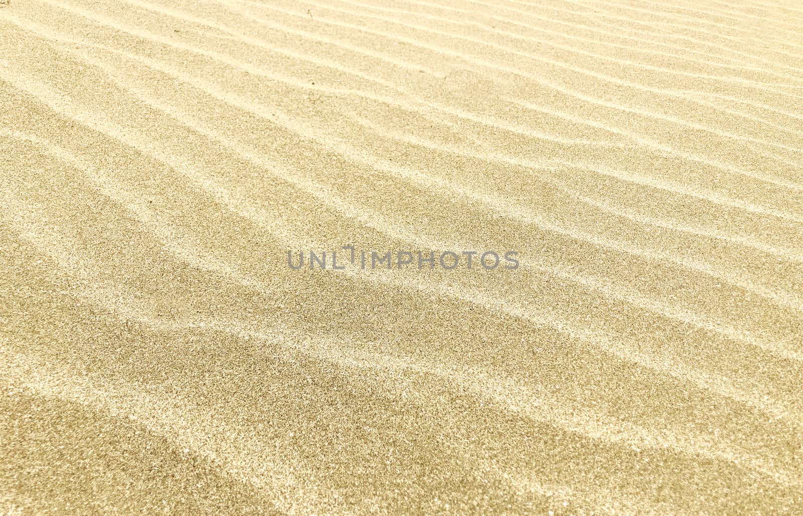 Close-Up Of Sand Background Texture by nenovbrothers