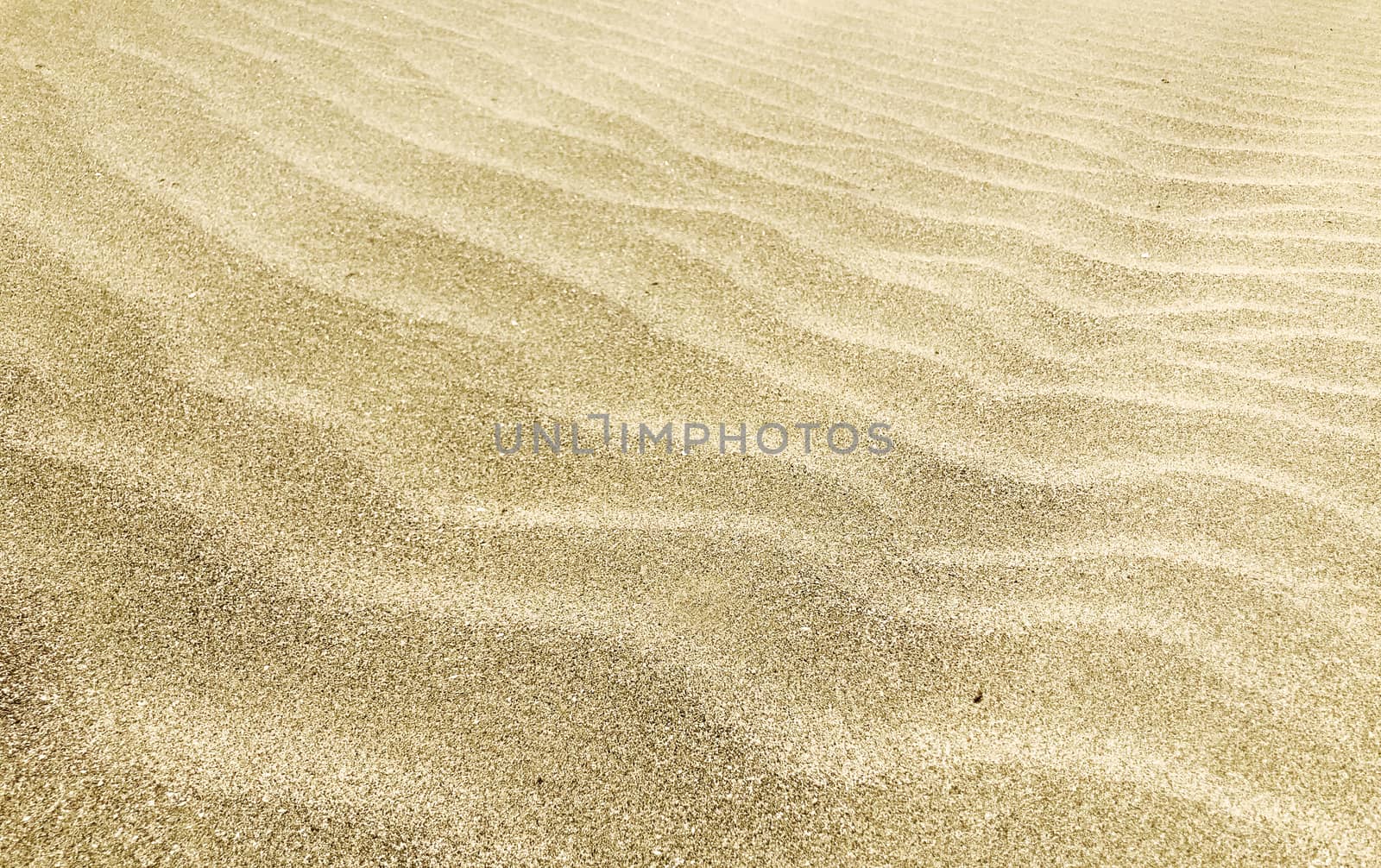 Close-Up Of Sand Background Texture by nenovbrothers