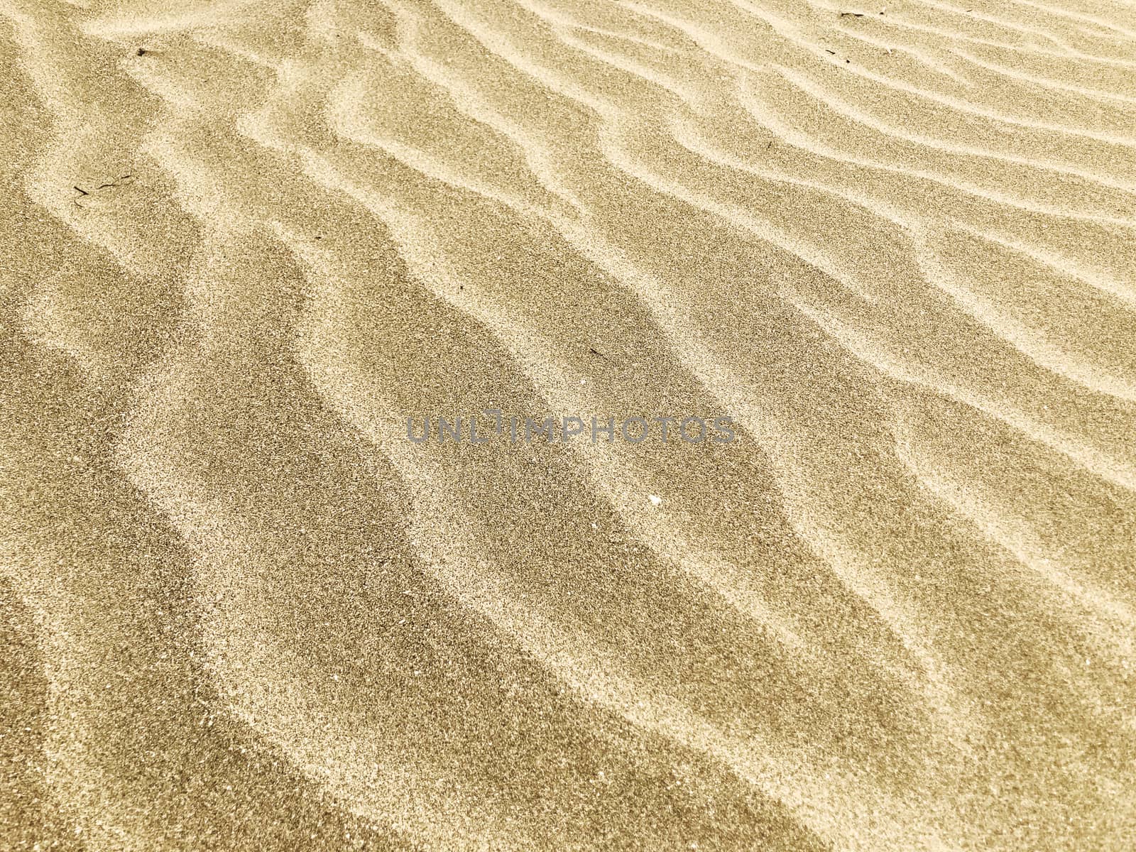 Close-Up Of Sand Background Texture by nenovbrothers