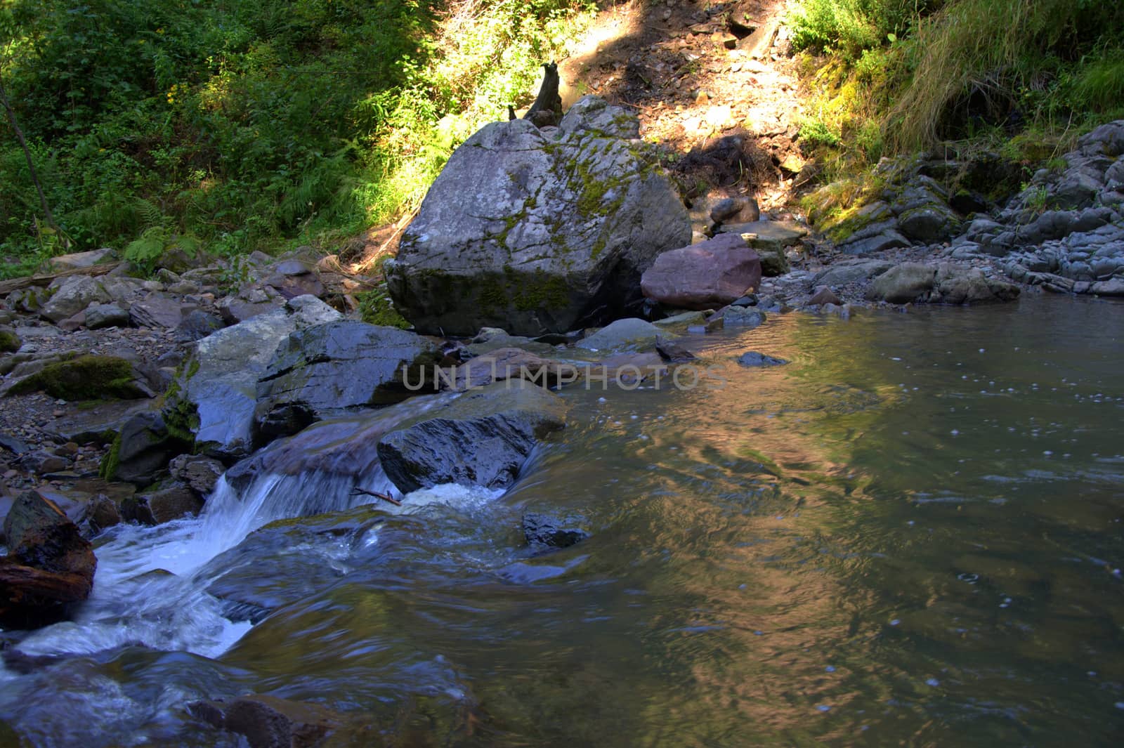 Cobblestones as an obstacle on the way of a small mountain river flowing through the forest. Altai, Siberia, Russia.