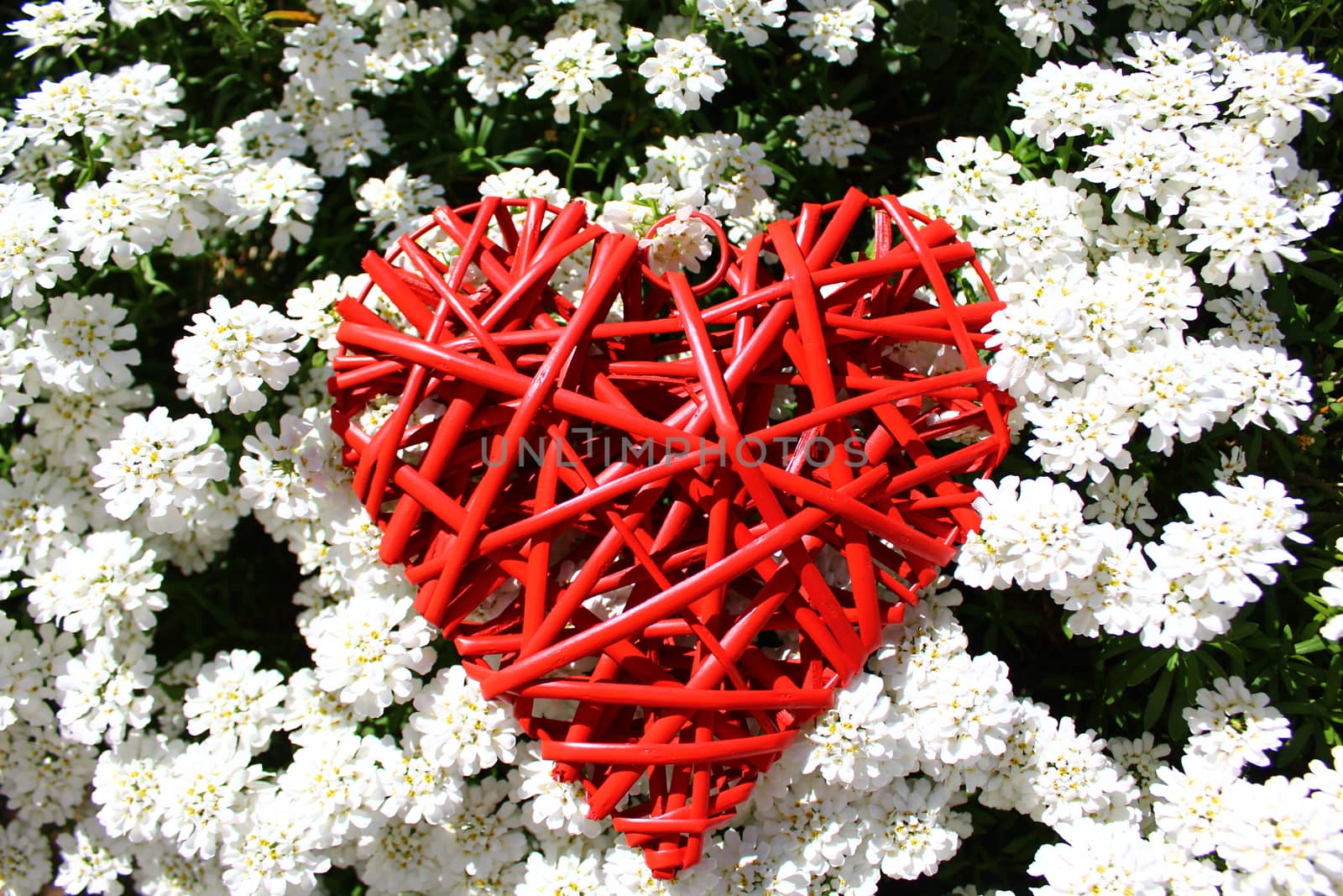 red heart in sweet alison by martina_unbehauen