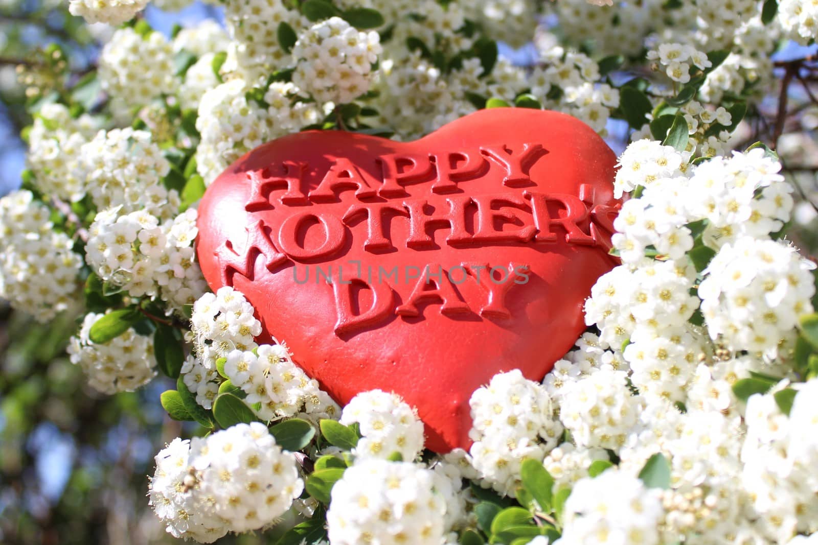 The picture shows a red heart with the text happy mother`s day in the snowberry bush.