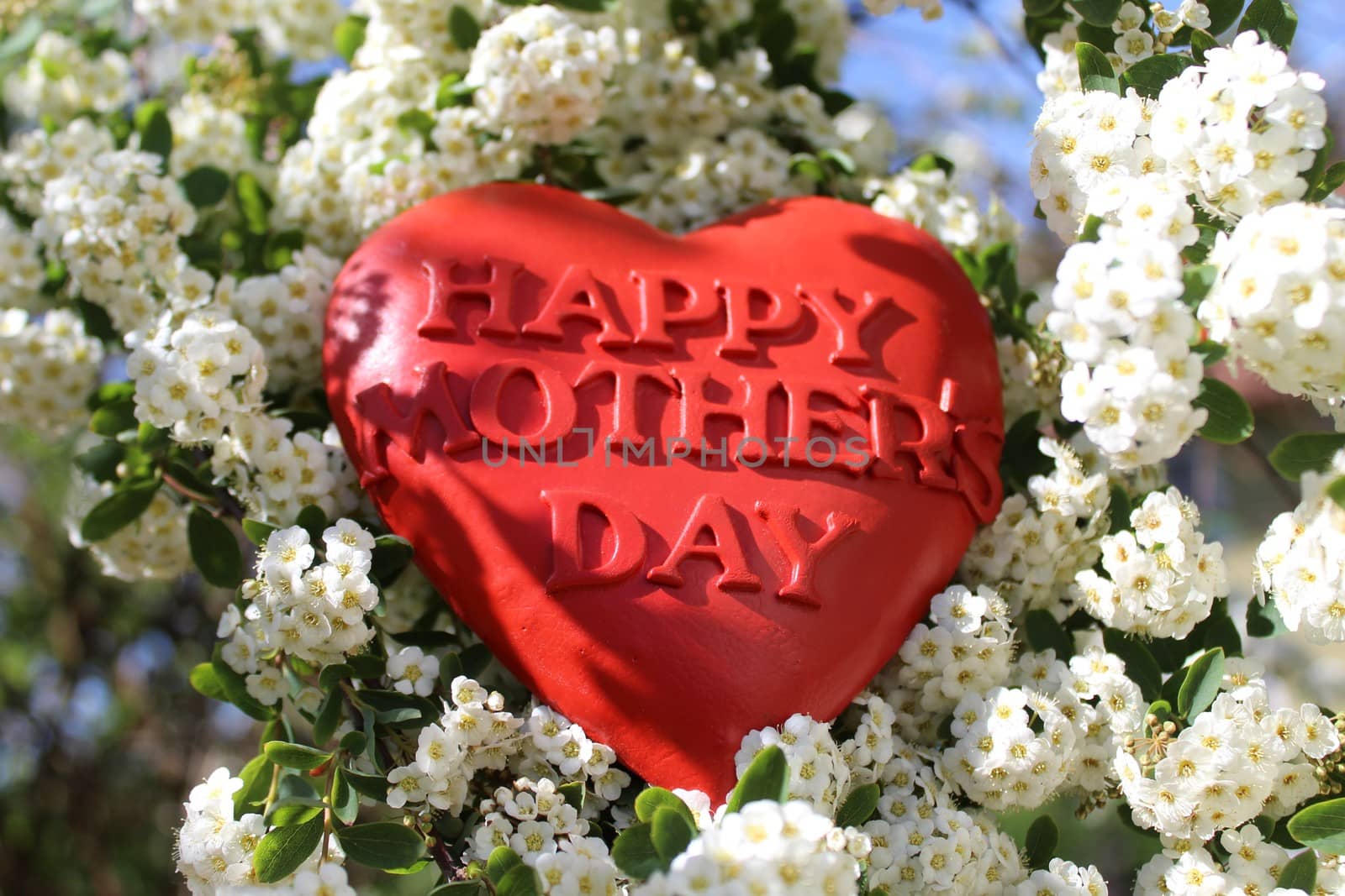 The picture shows a red heart with the text happy mother`s day in the snowberry bush.