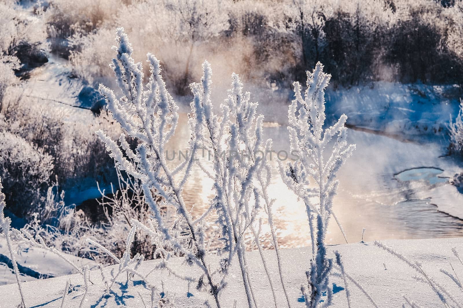 Winter sunny landscape with river and forest.