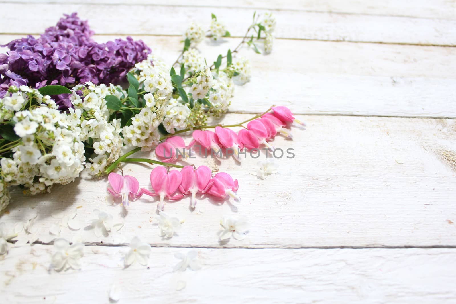 The picture shows a bouquet of flowers on white boards.