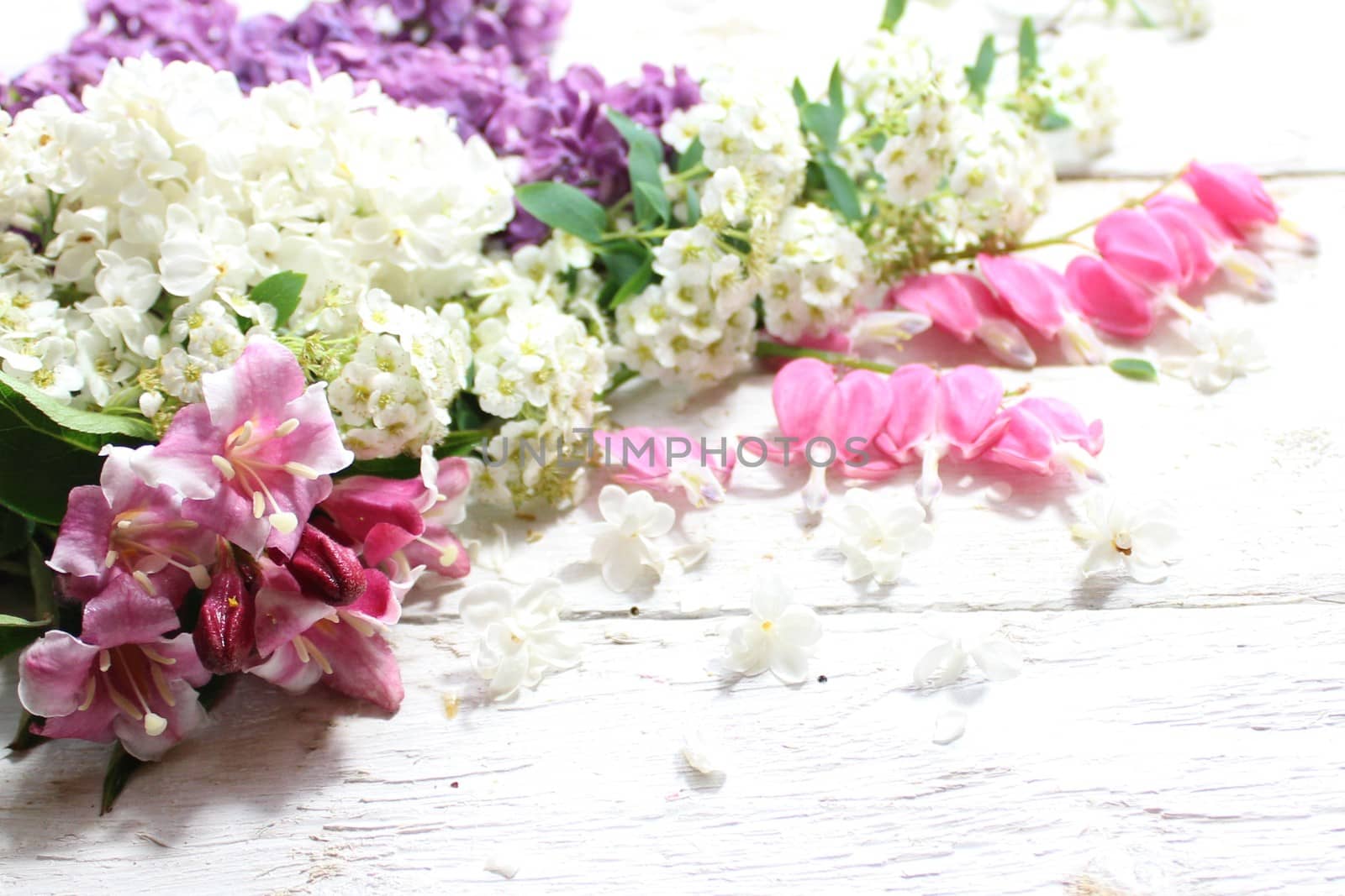 bouquet of flowers on white boards by martina_unbehauen